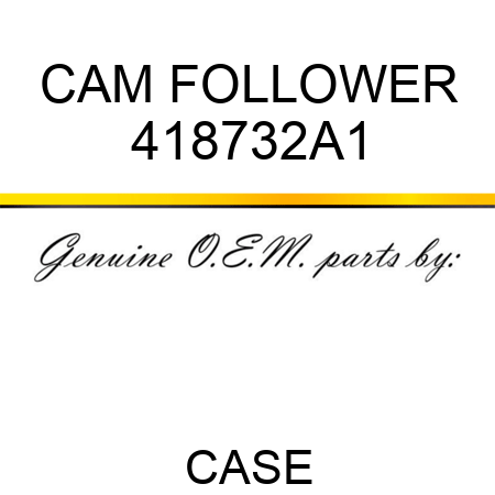 CAM FOLLOWER 418732A1