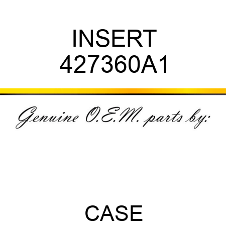 INSERT 427360A1
