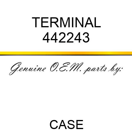 TERMINAL 442243