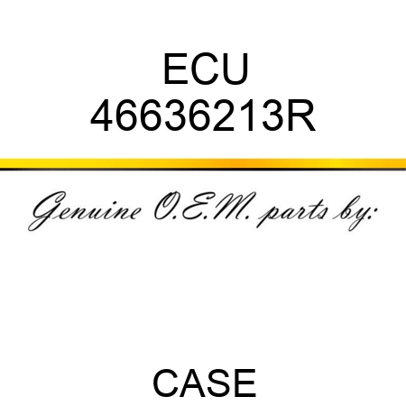 ECU 46636213R