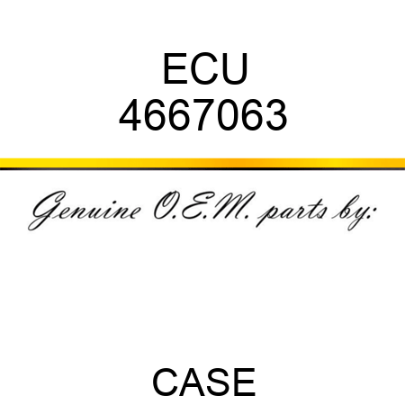 ECU 4667063