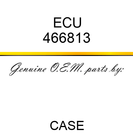 ECU 466813