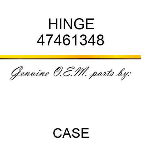 HINGE 47461348