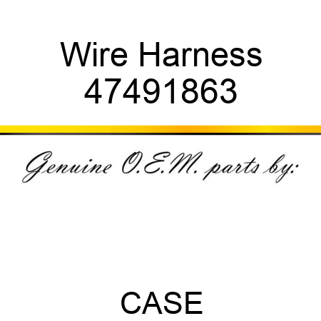 Wire Harness 47491863
