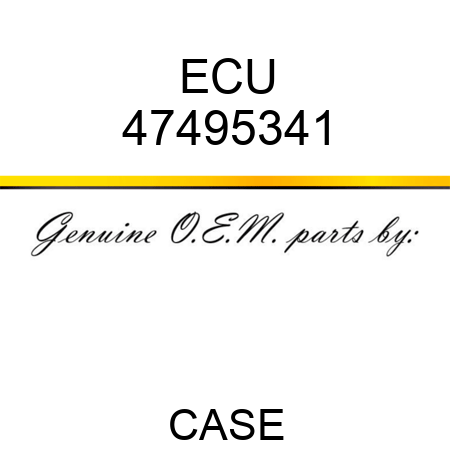 ECU 47495341