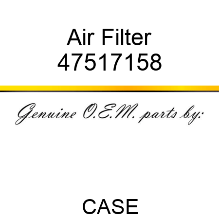 Air Filter 47517158