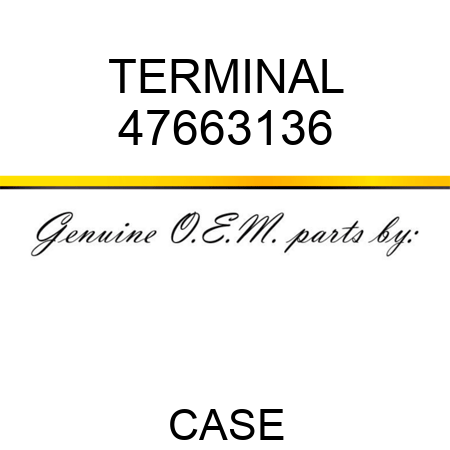 TERMINAL 47663136