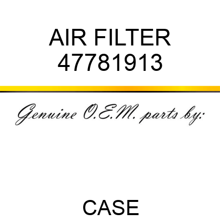 AIR FILTER 47781913