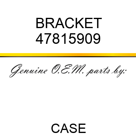 BRACKET 47815909