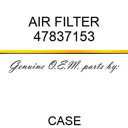 AIR FILTER 47837153