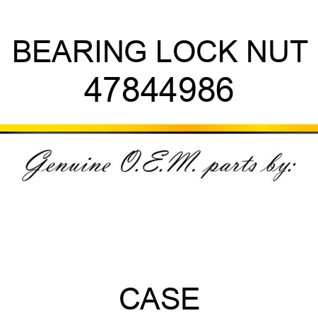 BEARING LOCK NUT 47844986