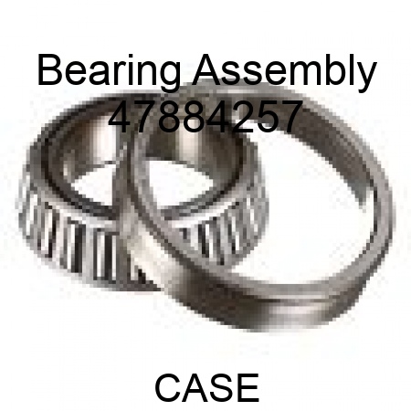 Bearing Assembly 47884257