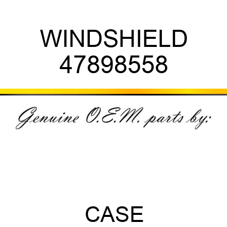 WINDSHIELD 47898558