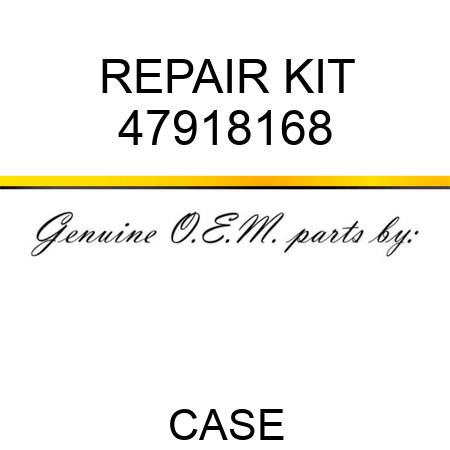 REPAIR KIT 47918168