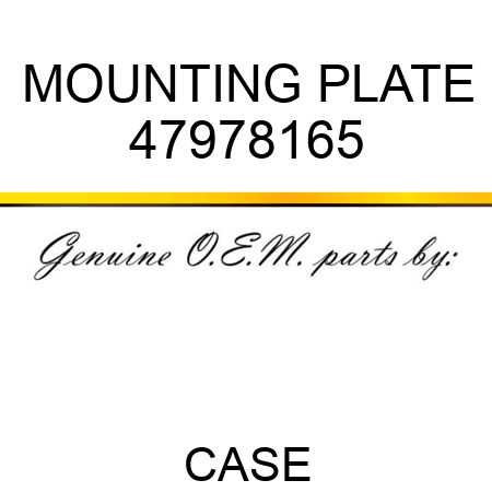 MOUNTING PLATE 47978165