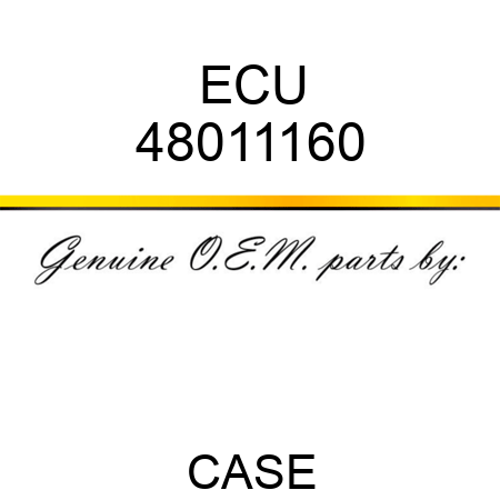 ECU 48011160