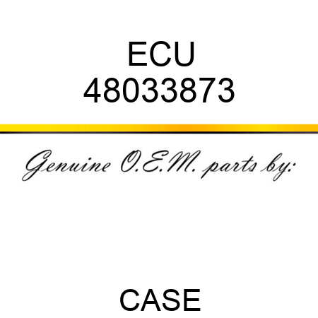 ECU 48033873