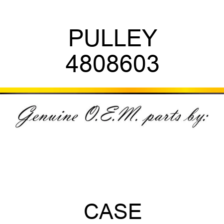 PULLEY 4808603