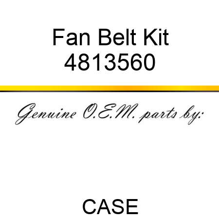 Fan Belt Kit 4813560