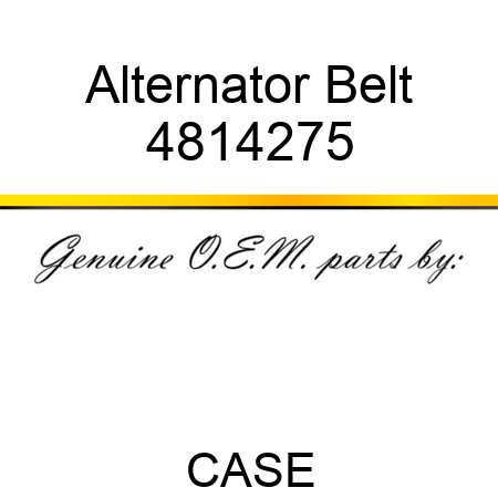 Alternator Belt 4814275