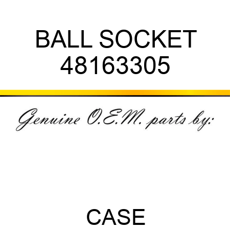 BALL SOCKET 48163305