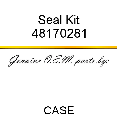 Seal Kit 48170281