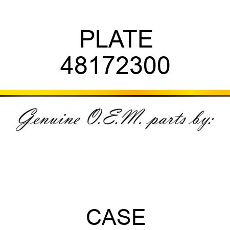 PLATE 48172300