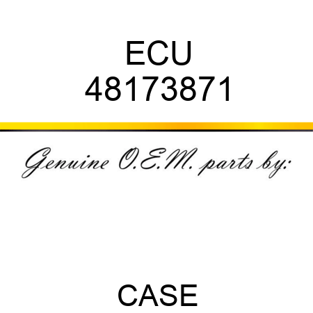 ECU 48173871