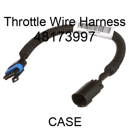 Throttle Wire Harness 48173997