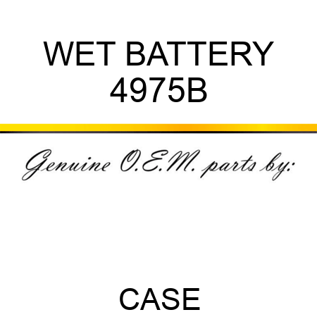 WET BATTERY 4975B