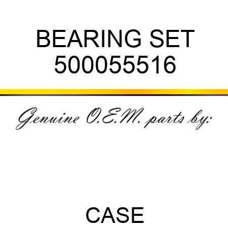 BEARING SET 500055516