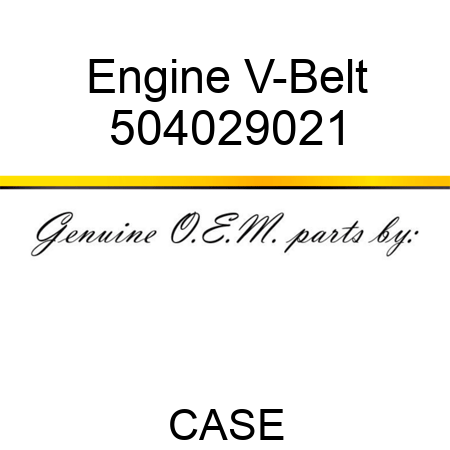 Engine V-Belt 504029021