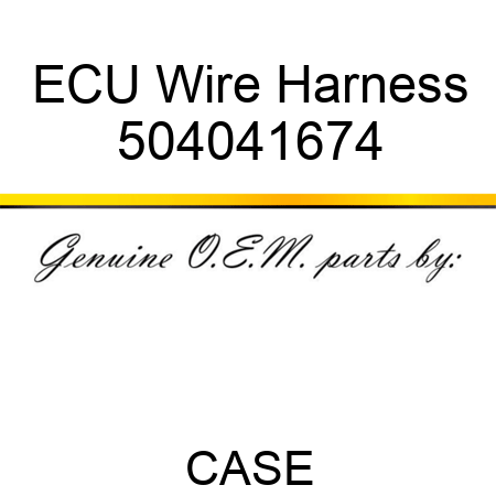 ECU Wire Harness 504041674