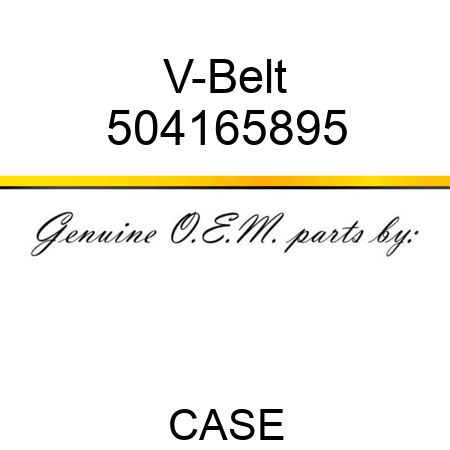 V-Belt 504165895