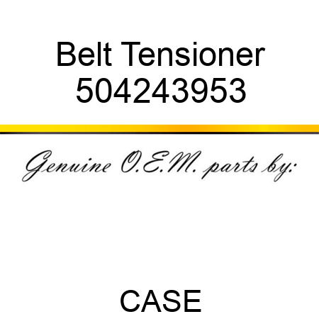 Belt Tensioner 504243953