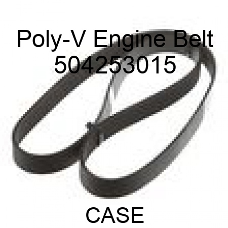 Poly-V Engine Belt 504253015