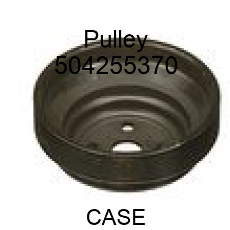 Pulley 504255370