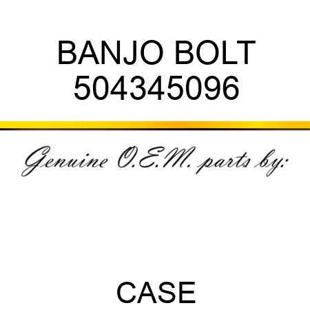 BANJO BOLT 504345096