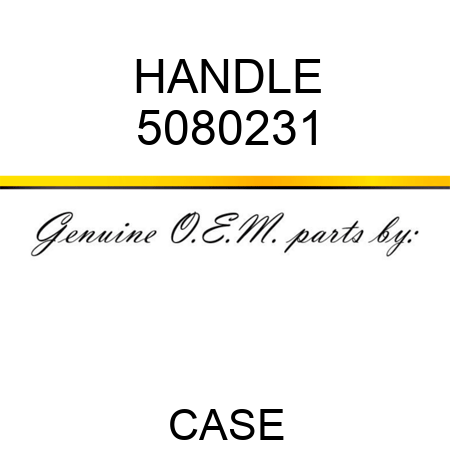 HANDLE 5080231