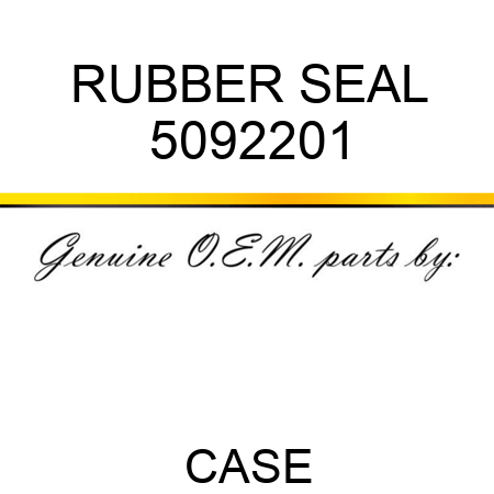 RUBBER SEAL 5092201