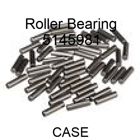 Roller Bearing 5145981
