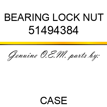 BEARING LOCK NUT 51494384