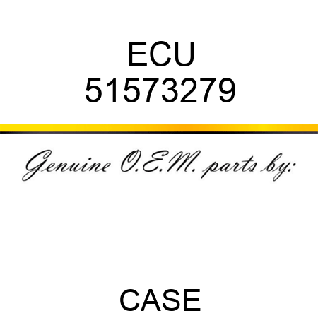 ECU 51573279