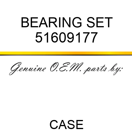 BEARING SET 51609177