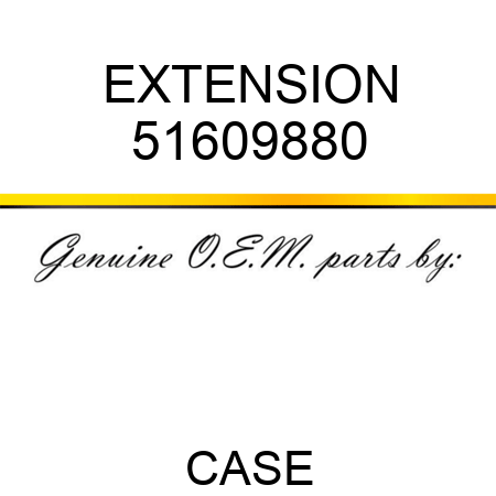 EXTENSION 51609880