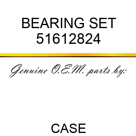BEARING SET 51612824