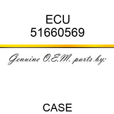 ECU 51660569