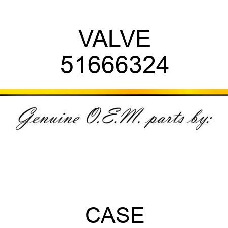 VALVE 51666324