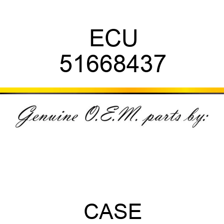 ECU 51668437