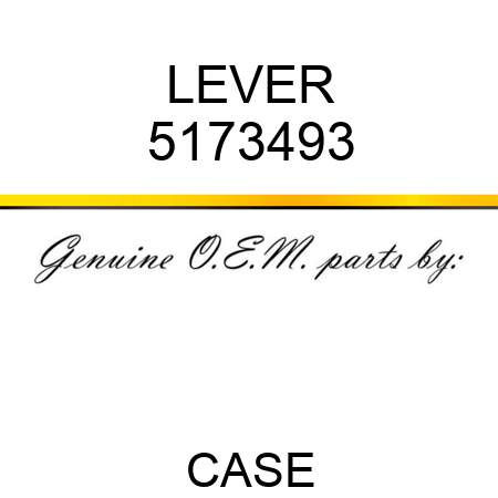 LEVER 5173493